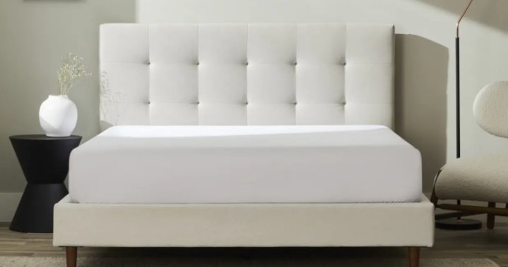 The Curator: 11 best bed frames for every style and budget – National