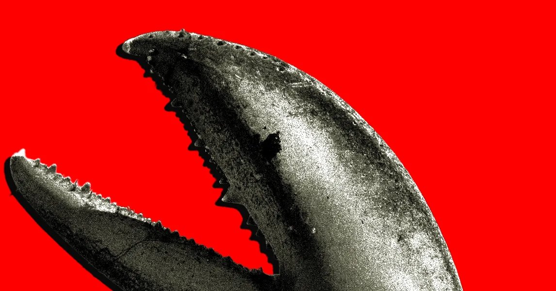 China’s OpenClaw Boom Is a Gold Rush for AI Companies