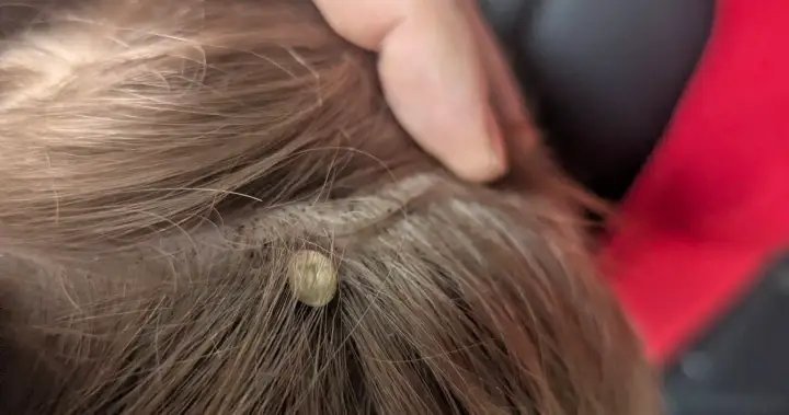 Merritt father warns others after medical emergency involving his young son – Okanagan