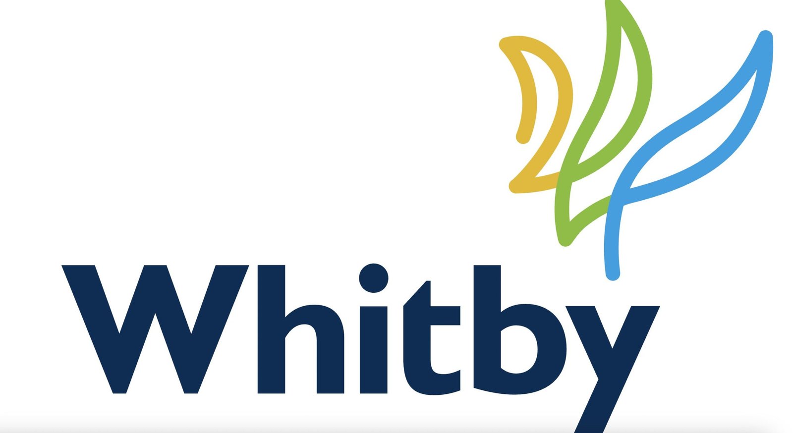 Whitby mayor to propose new disclosure rule ahead of election