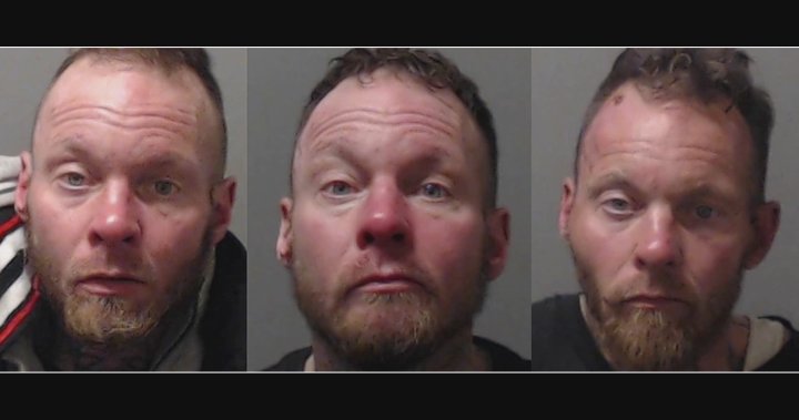 After more than 400 police files, Kelowna reoffender released on bail