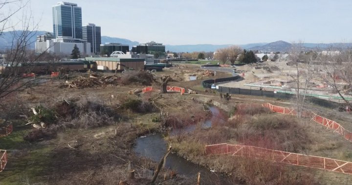 ‘It’s just sad:’ Kelowna residents disappointed after city removes swath of trees