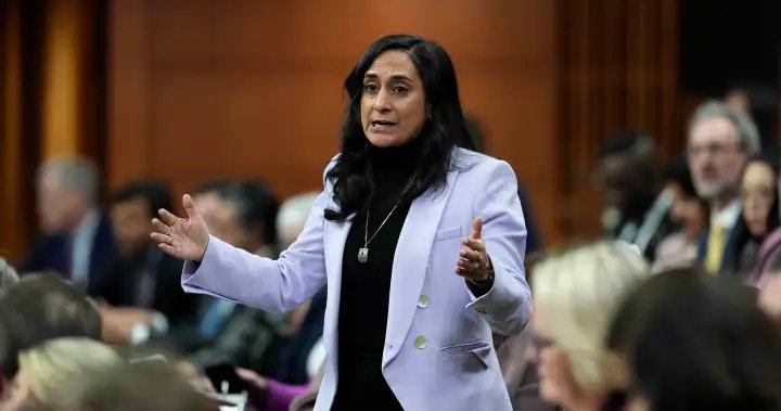 Anand states any role in Iran war must fit ‘legal and policy frameworks’ – National