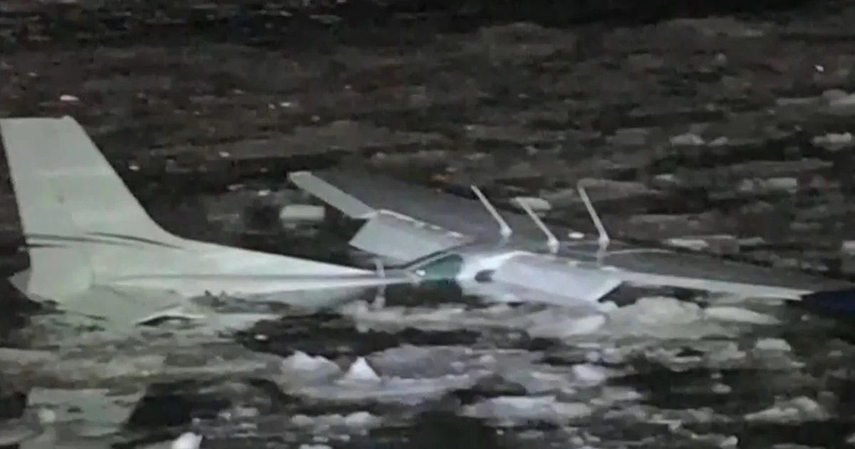 Mini miracle on the Hudson as pilot and passenger survive plane crash in icy river