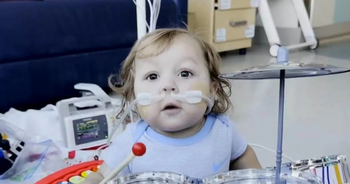 Toddler born with rare defect gets lifesaving heart transplant