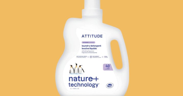 The Curator: The ultimate spring cleaning checklist – National