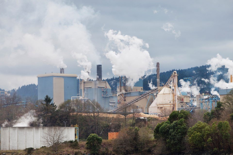 B.C. forestry sector beaten to a pulp