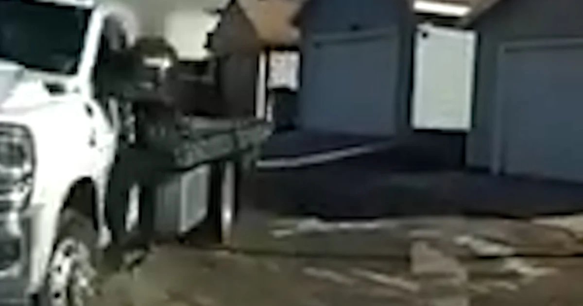 Officer hangs off truck before fatally shooting driver