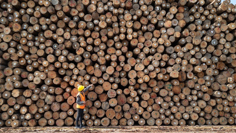 Opinion: B.C.’s forestry crisis goes beyond U.S. tariffs