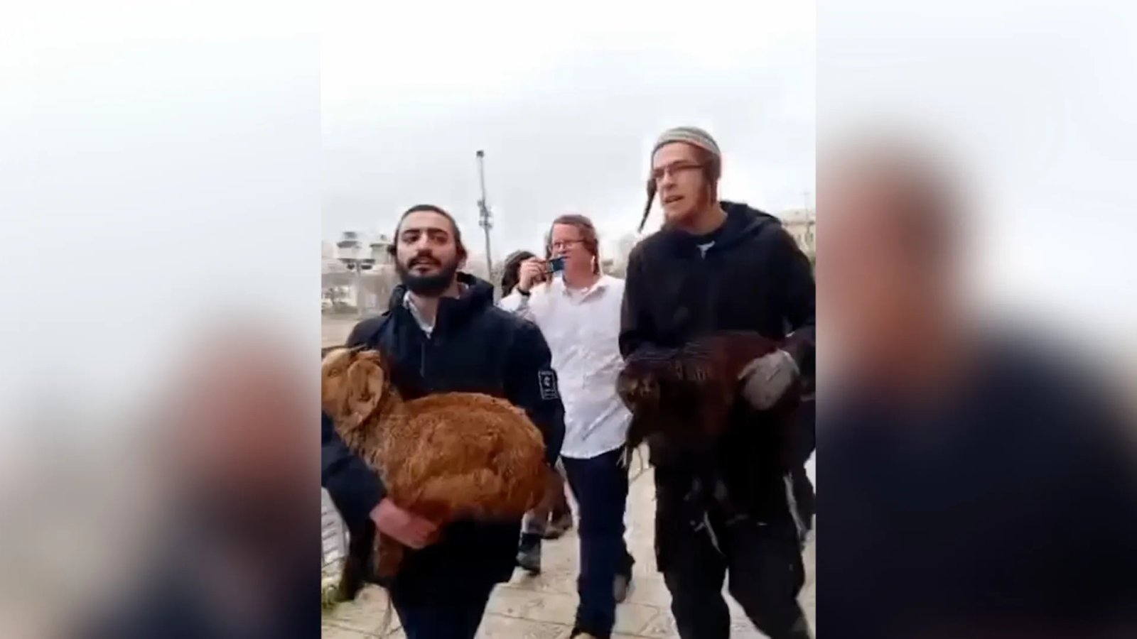 Israelis attempt to perform Passover sacrifice at Al-Aqsa | Israel-Palestine conflict News