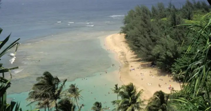 3 killed, 2 injured after helicopter crashes at Kalalau Beach in Hawaii – National