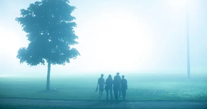 ADHD is linked to other mental health issues. A new study suggests why – National