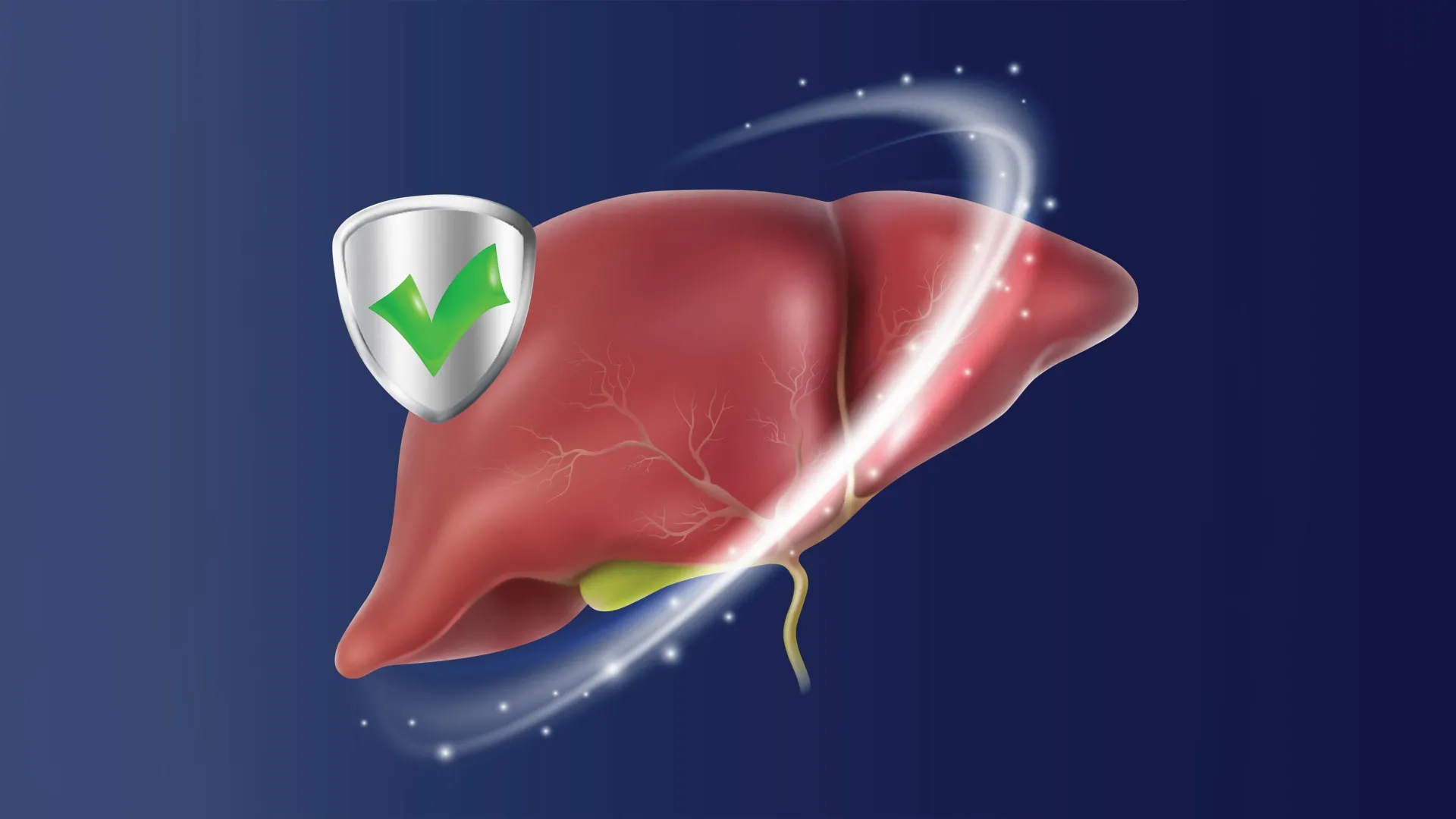 New drug protects liver after intestinal surgery and boosts nutrient absorption