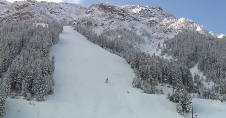 3 people killed in B.C. avalanche were Swiss nationals, reports say