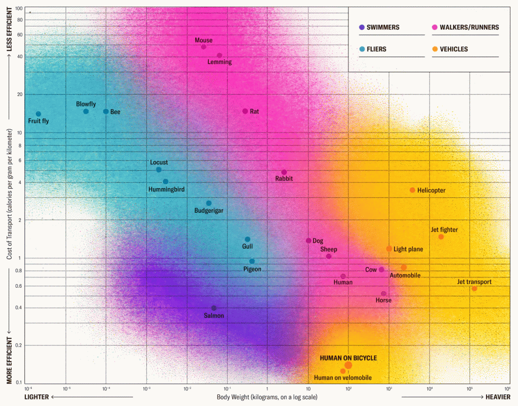 A Human on a Bicycle: Incredibly Efficient