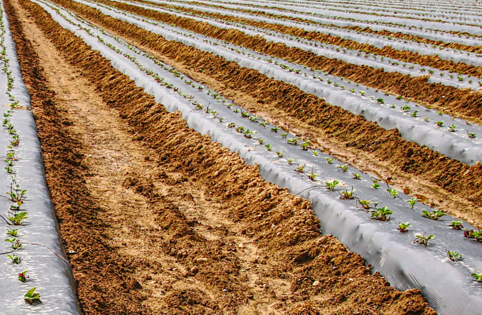 B.C. agtech venture Miraterra closes $16M funding round