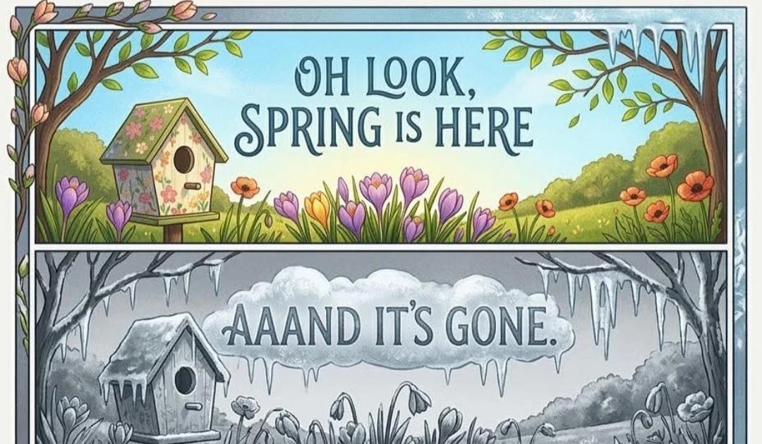 Actual Canadian news and tips on how to be Canadian, plus other funny stuff, Carney Hat Tricks, TrumpWatch and Animal Crackers