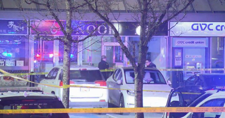 Surrey jewelry store employee testifies she begged suspects not to kill her – BC