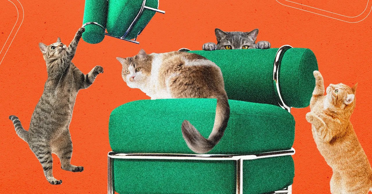 Ikea’s New Blow-Up Chair Was Tested by Cats