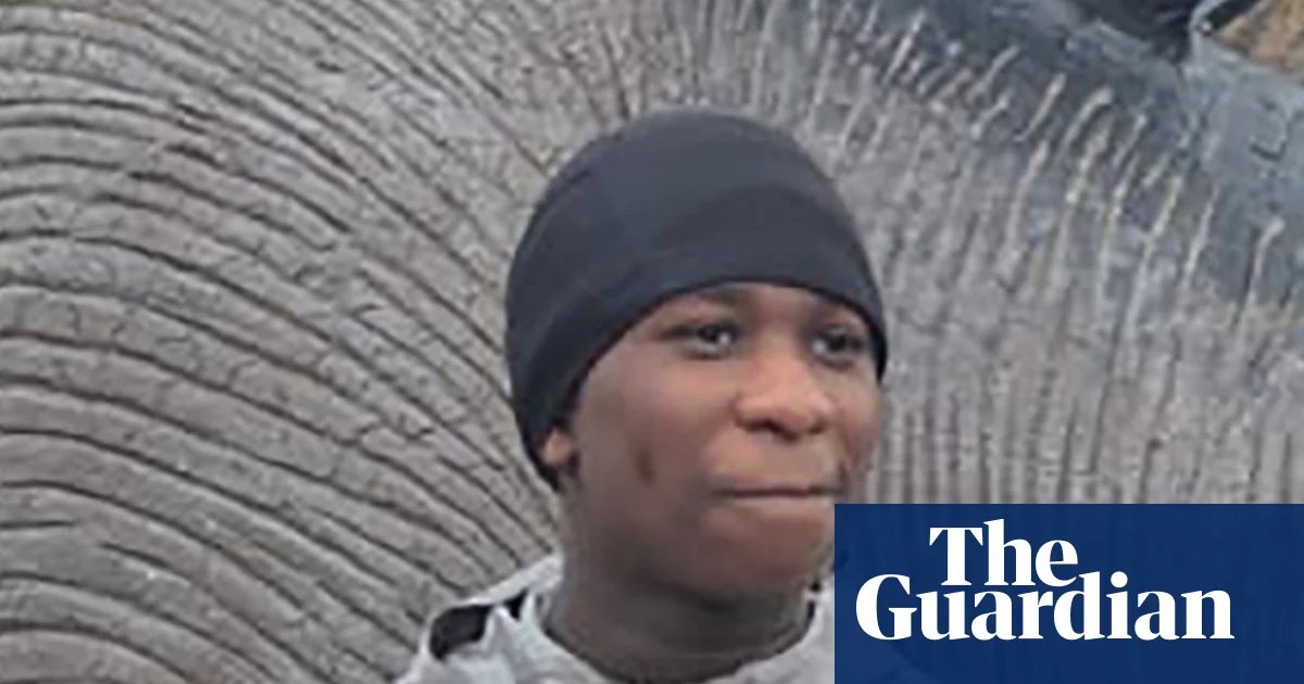 Romford boy, 16, charged with murder of Eghosa Ogbebor, 14, in south London | UK news