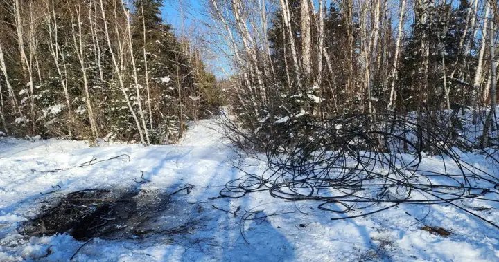 As more copper wire thefts knock out service, some point fingers at scrap yards – New Brunswick