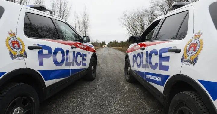 Pedestrians hit by air rifle pellets from moving car in Kingston, police say – Kingston