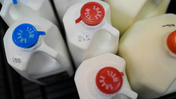 Scammers are targeting Canadians about a milk settlement that doesn’t exist