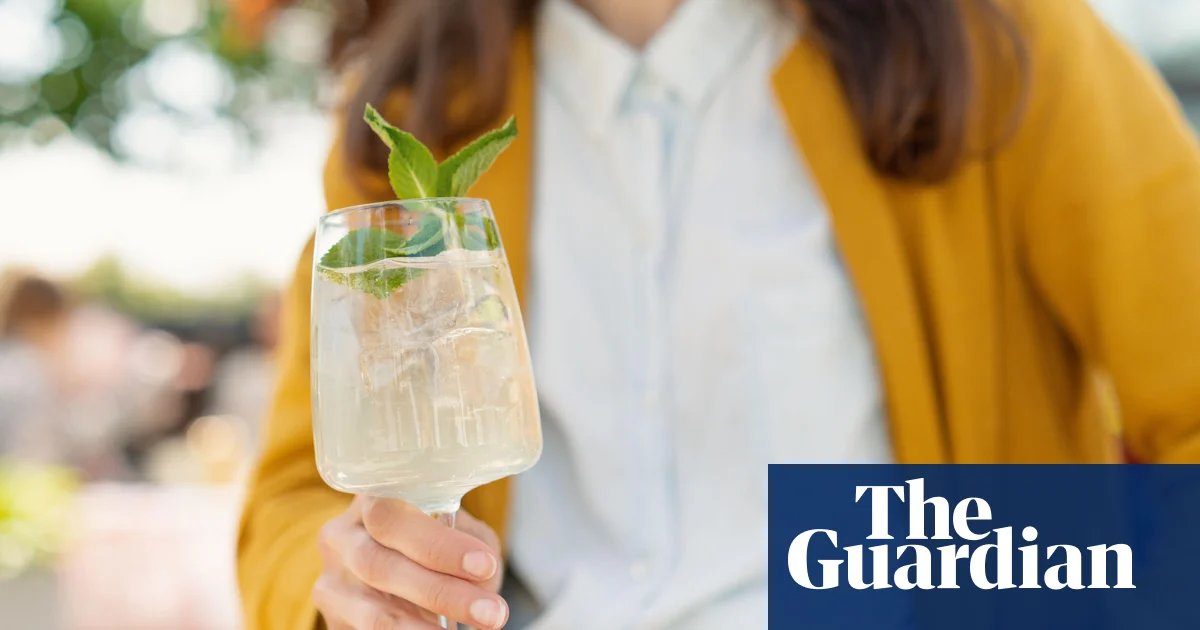 Put away the Aperol and raise a glass to Hugo spritz, the drink of the summer | Cocktails