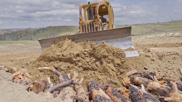 Burying burnt wood after wildfires could help the climate