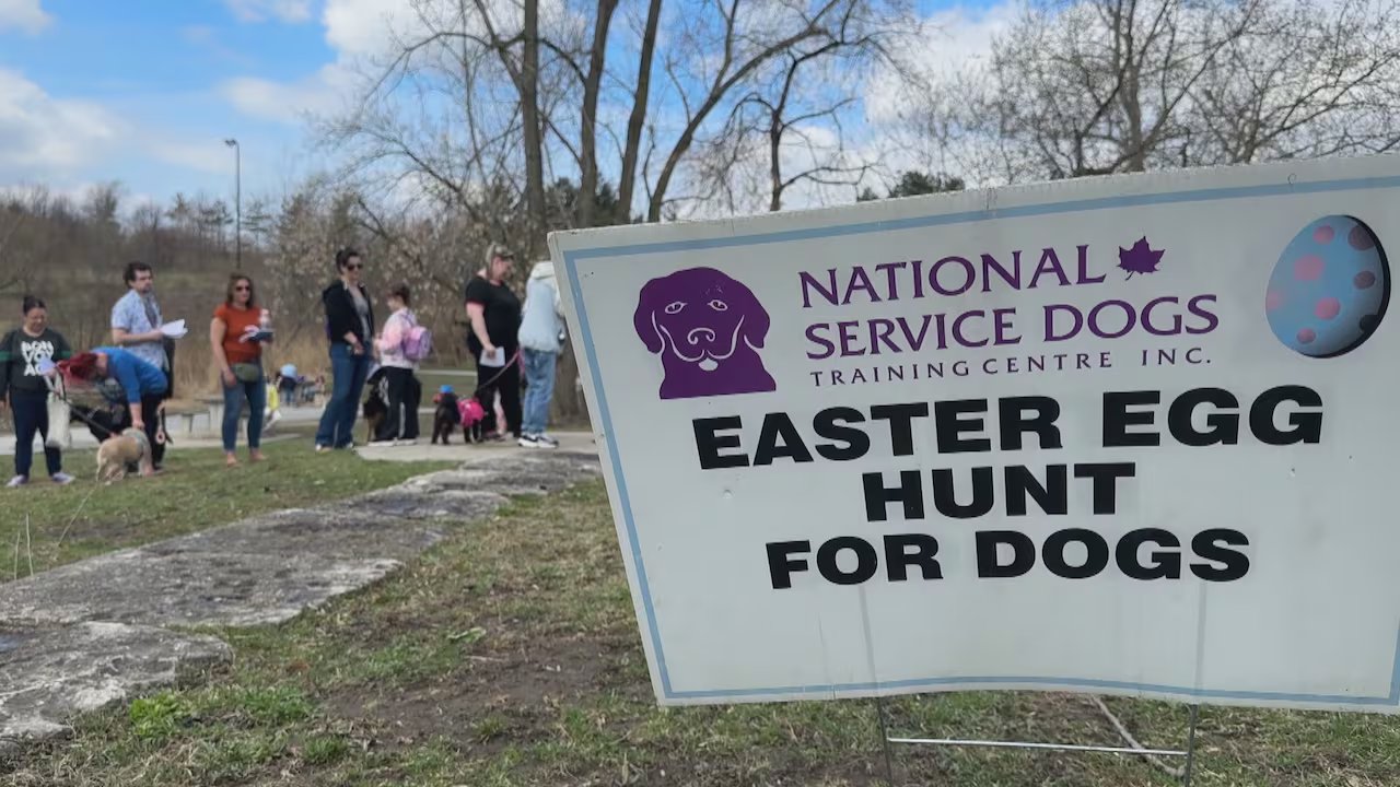 Hunting for a cause: National Service Dogs hosts an Easter egg hunt for dogs