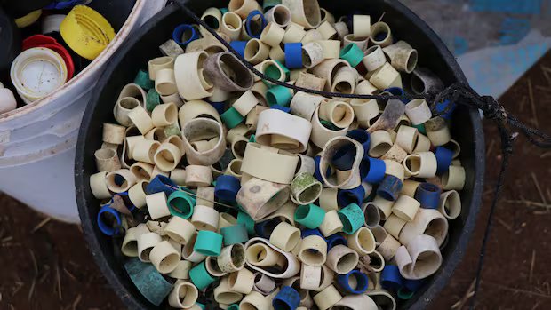 Federal Ghost Gear Fund to return, bringing hope to some organizations in the Maritimes