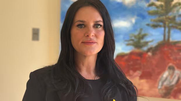 Survivor of intimate partner violence asks P.E.I. MLAs for better protection for victims