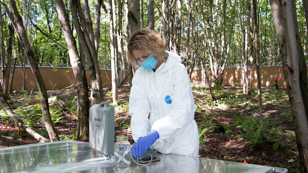 Scientists want to build an outdoor lab near Windsor to study decomposing human bodies