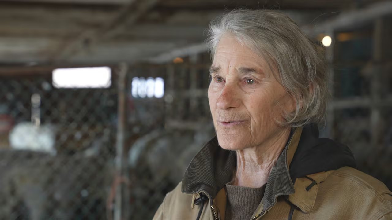 Farmers fight Liberal high-speed rail plan ahead of crucial byelections