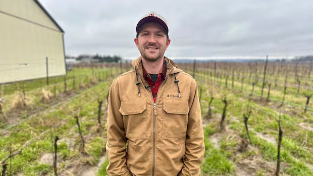 Tough winter conditions could impact grape harvest as Ontario wine booms