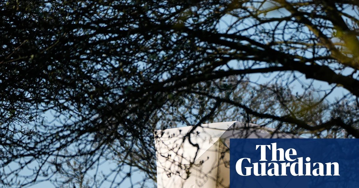 Man charged with murder of Finbar Sullivan in Primrose Hill | UK news