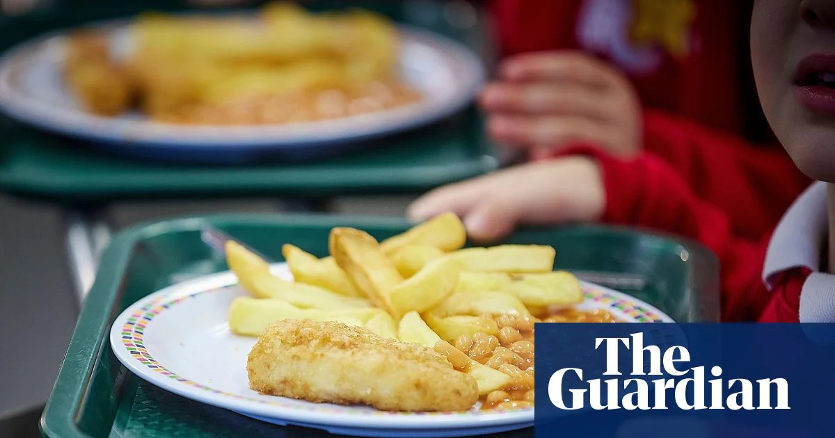 Fried nuggets and steamed sponges off menu in school food overhaul in England | School meals