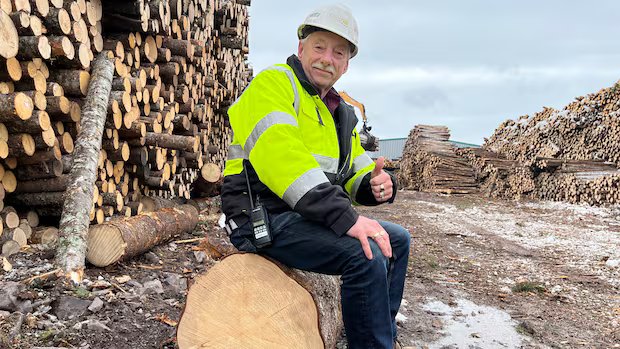 As the N.L. newsprint industry sputters, these sawmill owners are framing up a bright future