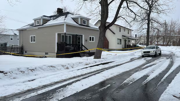 Grand Falls-Windsor shootings reignite calls for more resources to protect vulnerable women, children