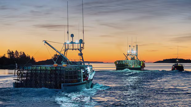 Lobster harvesters hope for strong prices as cost of fuel and other expenses soar