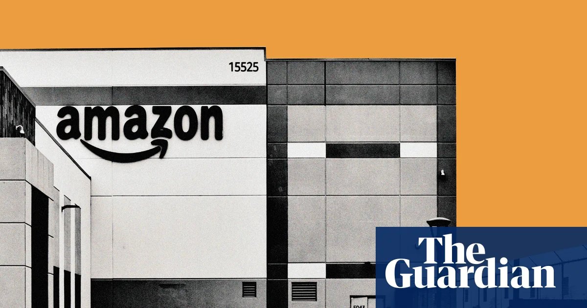 Newly unsealed records reveal Amazon’s price-fixing tactics, California attorney general claims | Amazon