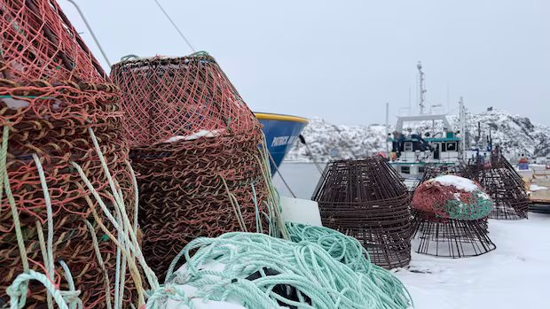 After weeks of strife, both sides come to deal on snow crab pricing schedule