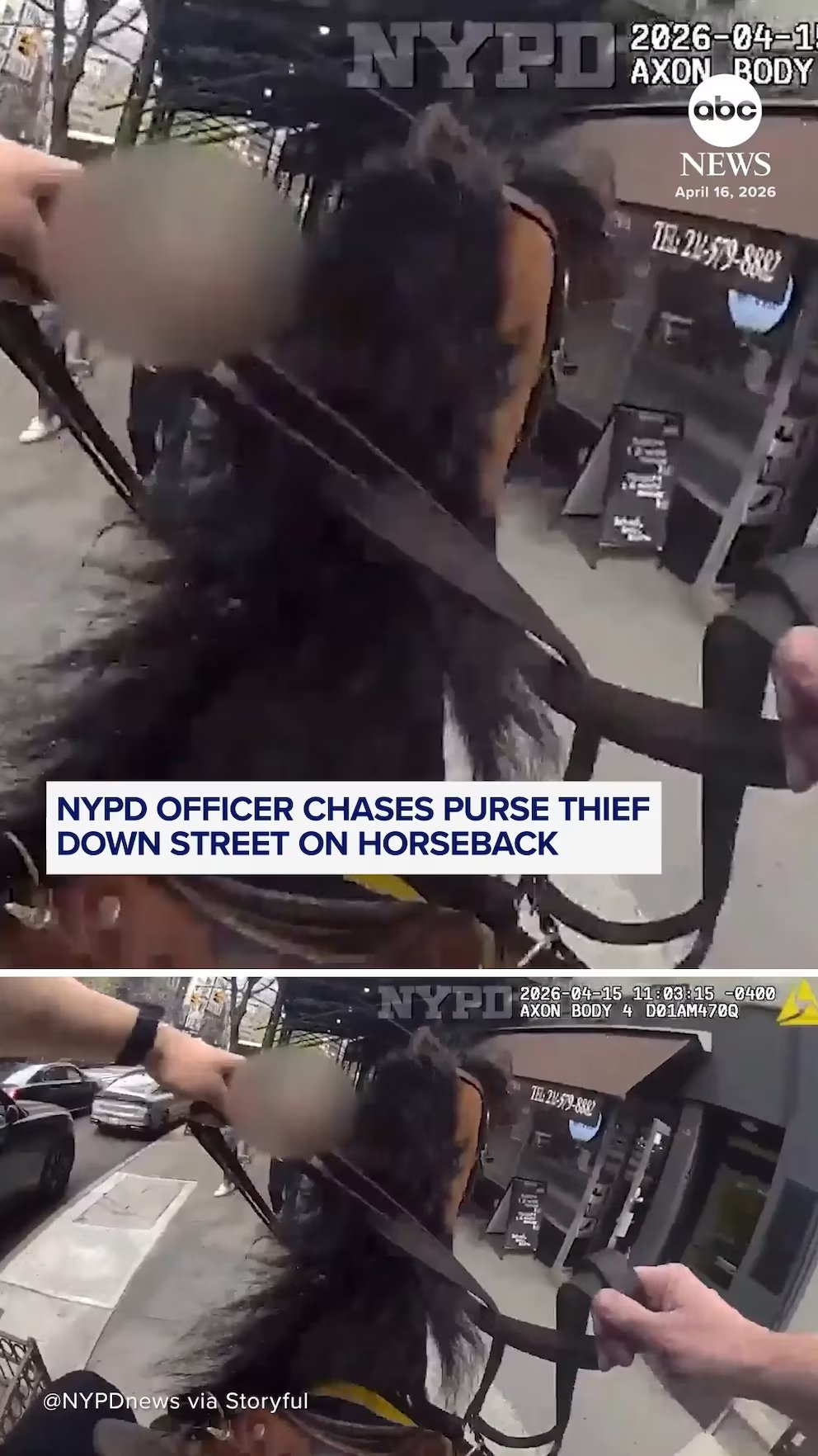 WATCH:  NYPD officer chases purse thief down street on horseback