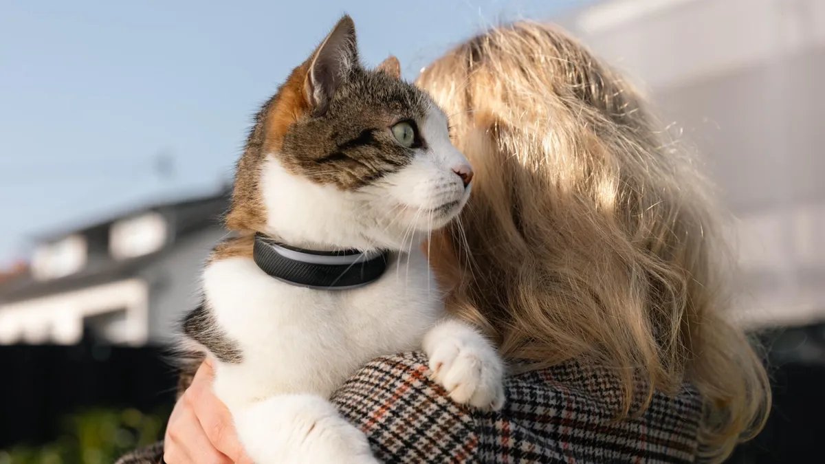 Health-Tracking Pet Collar Acts Like a Smartwatch for Dogs and Cats