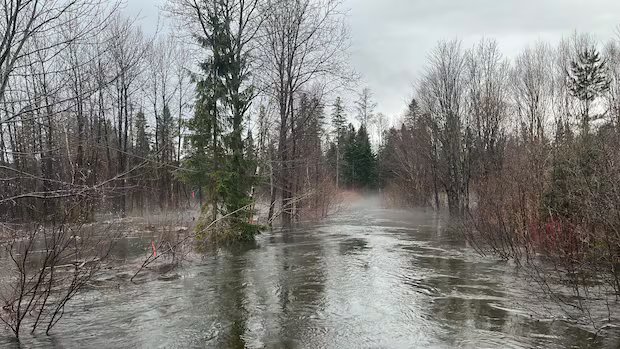 Quebec municipalities deal with flooding, some residents evacuated from homes