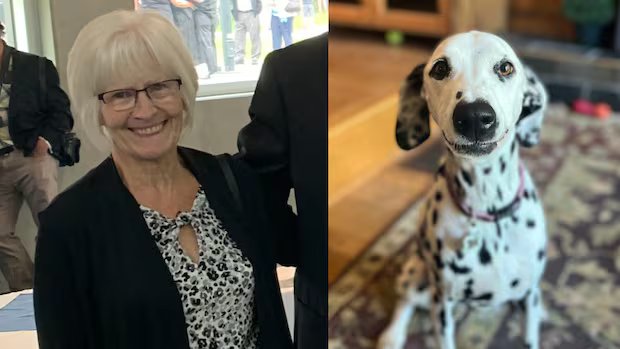 Missing Alberta senior found dead in Saskatchewan, RCMP say