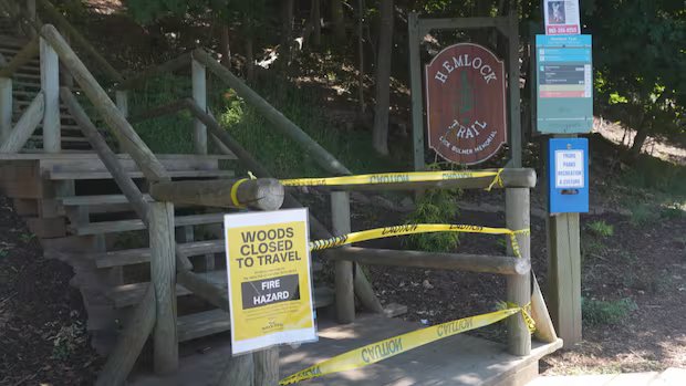 Nova Scotia’s provincewide ban on entering the woods was unreasonable, court rules