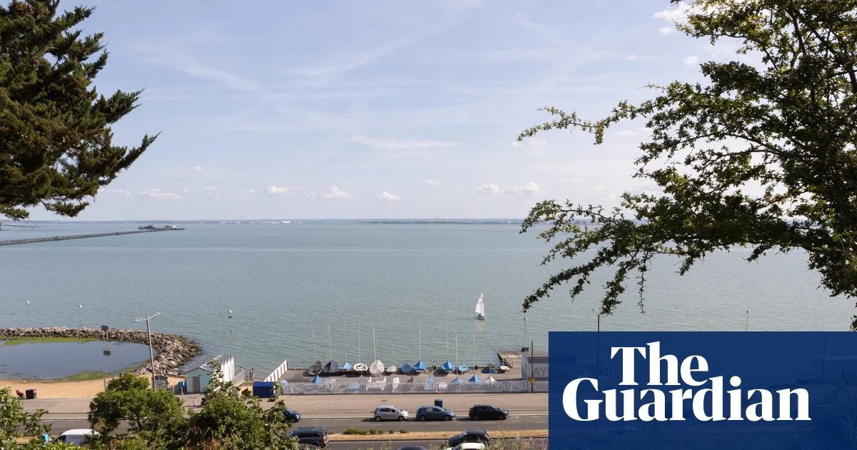 England wildlife watchdog ‘has stopped designating special sites for protection’ | Wildlife