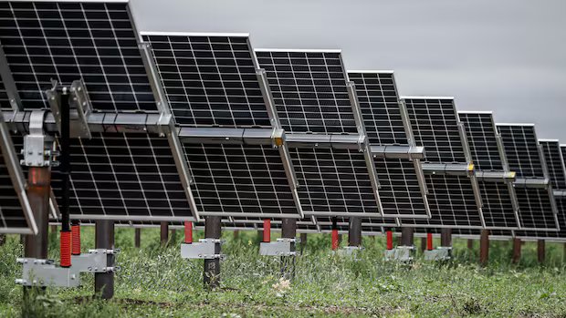 The future of electricity is wind and solar, new report says. Canada is lagging behind