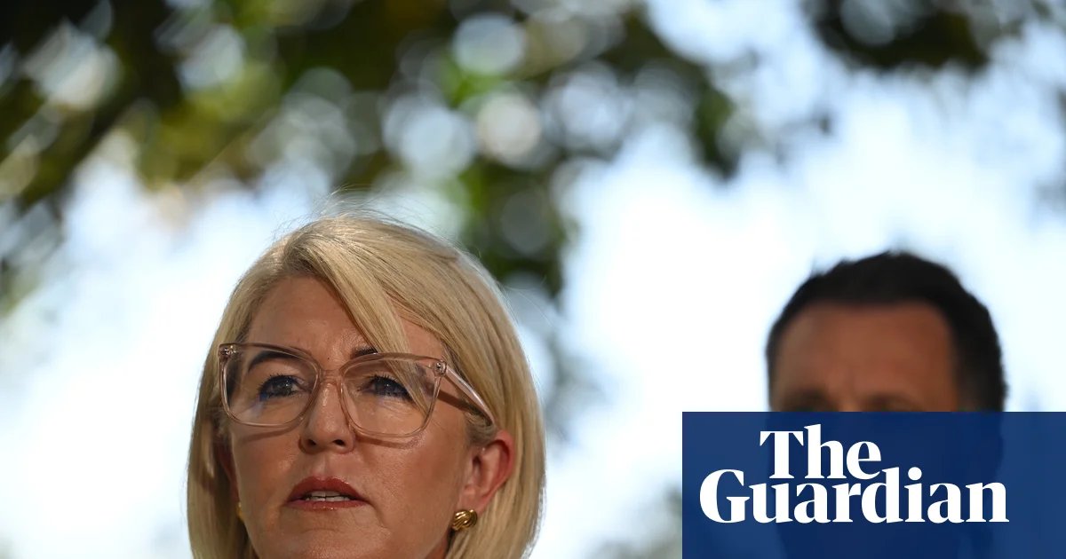 ‘Not a personal attack’: gun lobby targets marginal Labor seats at NSW election over post-Bondi reforms | New South Wales politics